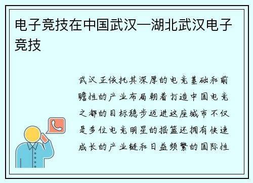 电子竞技在中国武汉—湖北武汉电子竞技